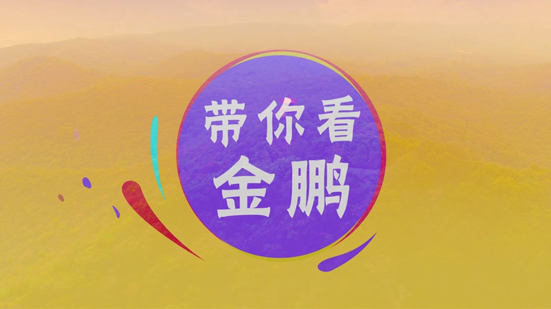 壹号娱乐